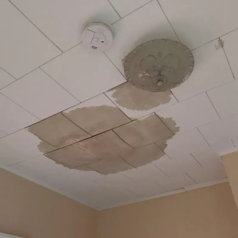 Ceiling Water Damage Repair in Prairie Creek, AR