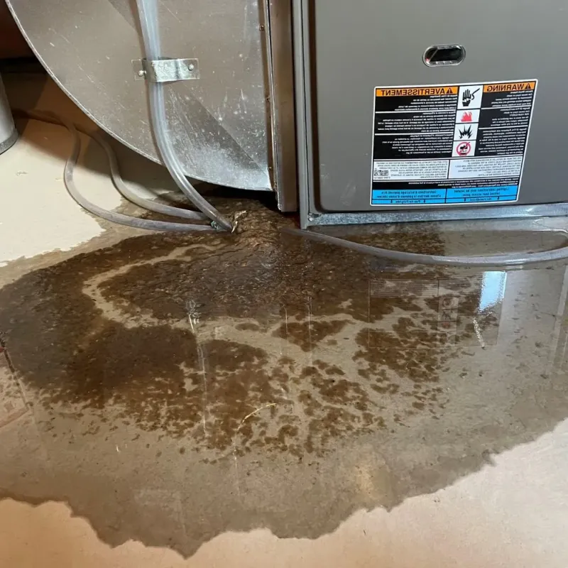 Pipe Burst and Leak Restoration in Prairie Creek, AR
