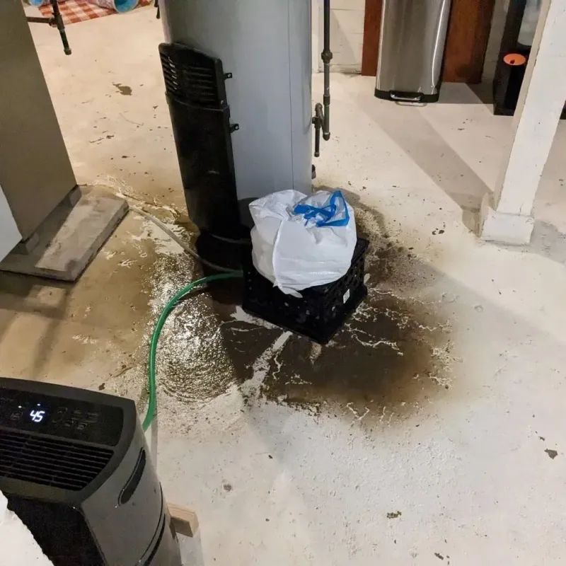 Sewage Backup Cleanup Service in Prairie Creek, AR